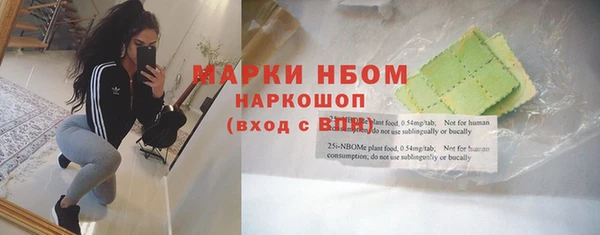 меф Арсеньев