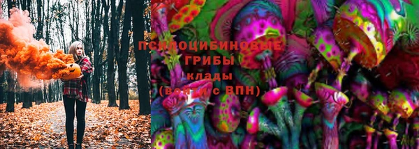гидра Аркадак