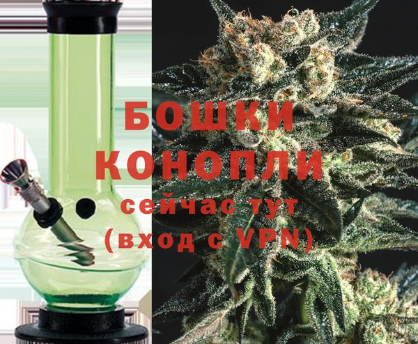 гидра Аркадак